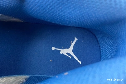 Mid 137 True Jordan 1 StreetReady Blue DQ8426-014  0825